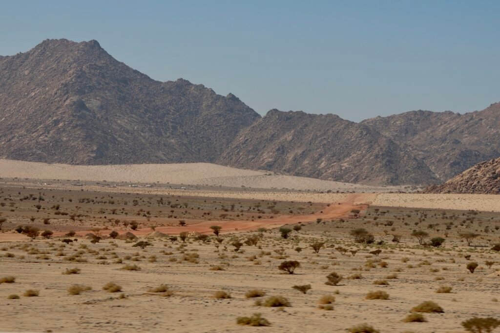 saoedi arabië 2025 11 06 (28)